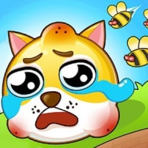 Save The Doge 2